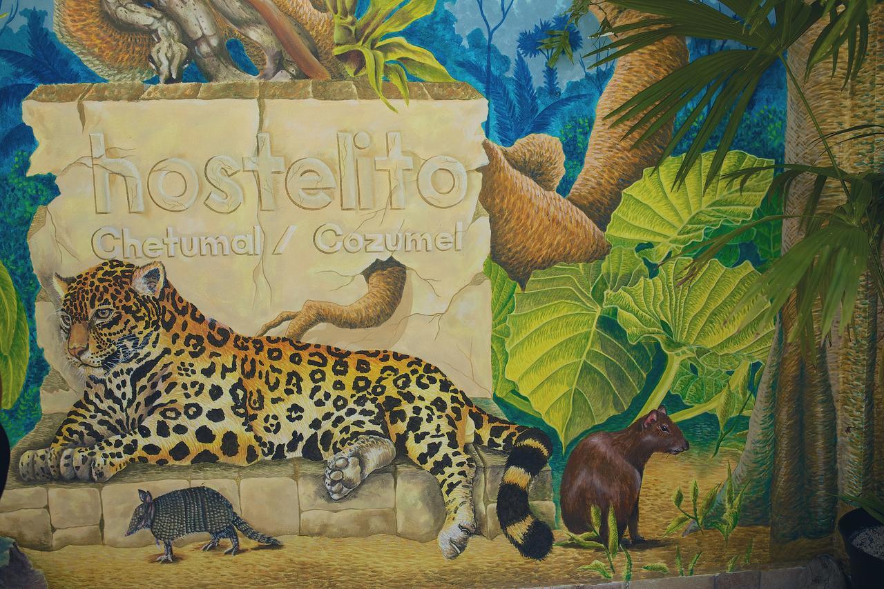 Hostelito Chetumal Hotel + Hostal Экстерьер фото